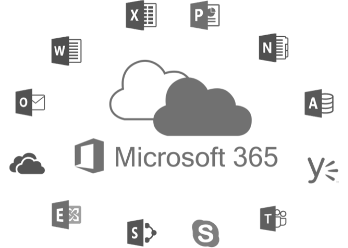 Microsoft 365 For Business Techchieva